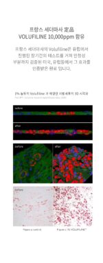BORNTREE Volume Tox Eye Cream 30ml x 3 - Image 5