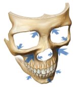 MONTERANC VOLUME FILLING 30ml - Image 16