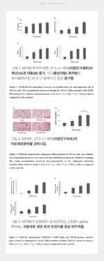 MONTERANC VOLUME FILLING 30ml - Image 24