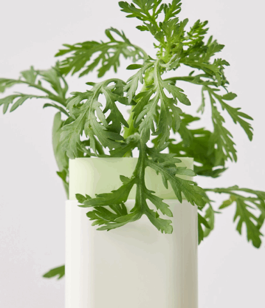 Beauty of Joseon Matte Sun Stick 18g