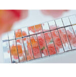 Glint by VDIVOV Tint Glosser 2.7g - Image 5