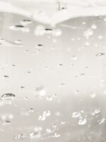 AROMATICA Soothing Aloe Vera Gel 180ml - EmpressKorea