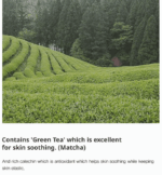 B-LAB Matcha Hydrating Real Sun Screen SPF 50+PA++++ 50ml - EmpressKorea