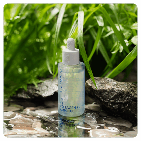 BORNTREE Like Sky Ice Collagen 93% Ampoule 50ml - EmpressKorea
