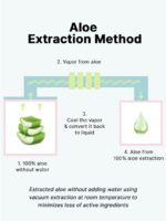 COSRX Aloe 54.2 Aqua Tone-Up Sunscreen 50ml - EmpressKorea