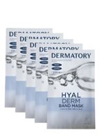 DERMATORY Aqua Hyalderm Band Mask 5sheets*28g - EmpressKorea