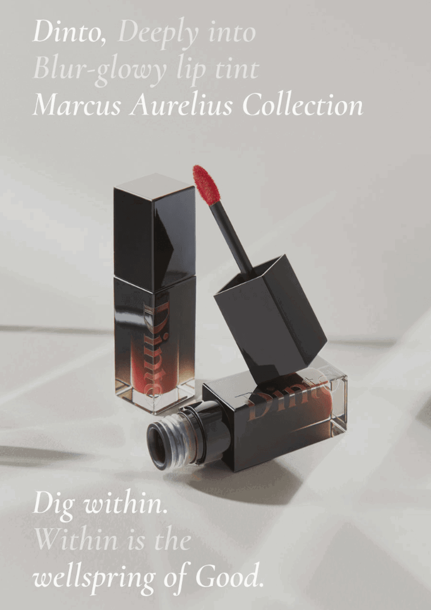 Dinto Blur-Glowy Lip Tint (12 Colors) 3.5g - EmpressKorea