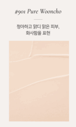 Dinto Blur Finish Cushion Original Product 12g - EmpressKorea