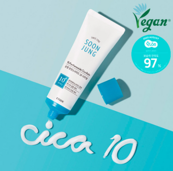 Etude Soonjeong Panthensoside™ 10 Cica Balm 50ml - EmpressKorea