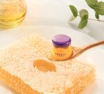 FRUDIA Blueberry Hydrating Honey Lip Balm 10ml - EmpressKorea