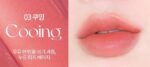 HOLIKA HOLIKA Foggy Blur Tint (6 Colors) 4g - EmpressKorea
