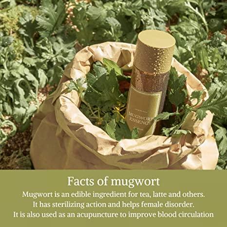 I’m From Mugwort Essence Review by EmpressKorea