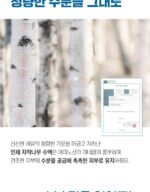 ROUND LAB Limited Eddition Birch Moisturizing Sun Stick 19g+19g - Image 6