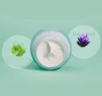 MIGUHARA Cica Bakuchiol Erasing Cream 50ml - EmpressKorea
