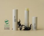 SIORIS More Than Lip Balm 4g - EmpressKorea