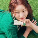 SKINFOOD Berry Soothing Sun Cream SPF 50+ PA++++ 50ml - EmpressKorea