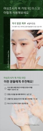 TONYMOLY Houttuynia Cordata Cica Quick Calming 90 Mask 20ml*10pack - Image 3