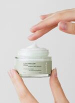 Veganifect Clean And Glow Sedum Moisture Cream 50g - EmpressKorea