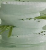 Veganifect Green Barley First LHA Toner Pad 60pads 140ml - EmpressKorea