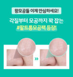 BRING GREEN Tea Tree Cica Pore Clay Pore Pack Strong 100g - Image 3