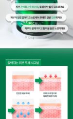 BIO HEAL BOH Panthecell Repair Cica Cream Tube Type 70ml - Image 5