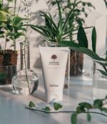 rootree Mobitherapy UV Sun Shield SPF 50+ PA++++ 60g - EmpressKorea