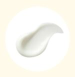 the SAEM Eco Earth Light Sun Cream SPF 50+ PA++++ 50g*2ea - EmpressKorea