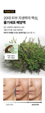 SUNGBOON EDITOR Silk Peptide Protein Stem Eye Cream 30ml - Image 8