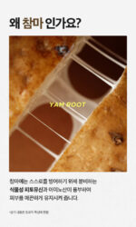 Isntree Yam Root Vegan Milk Toner 200ml - Image 10