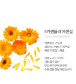 BOTEM Pure Face High Frequency Cream 250ml Massage Cream - Image 8