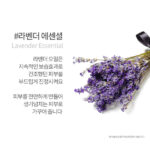 BOTEM Pure Face High Frequency Cream 250ml Massage Cream - Image 9