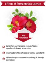 SKINEYE Natural Camellia Japonica Seed Oil 100 20ml - Image 26