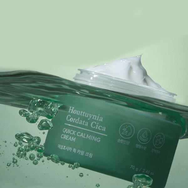 TONYMOLY Houttuynia Cordata Cica Quick Calming Cream 70g - Skincare - SKU: 9706069743861-d3c5e3a8