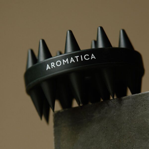 AROMATICA Dual Scalp Care Shampoo Brush - Beauty tool - SKU: 9798148702453