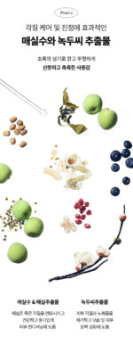 Beauty of Joseon Green Plum Refreshing Cleanser 100ml - Image 3