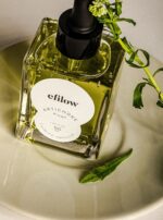 efilow Artichoke Biome Calming Ampoule 50ml - Image 6