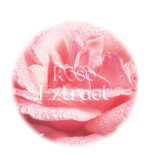 VERAMORE Plumping Lip Balm Rose 5g - Image 9