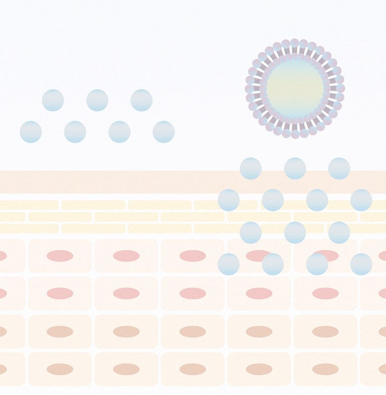 FROMRIER 5GF BB Cream Application